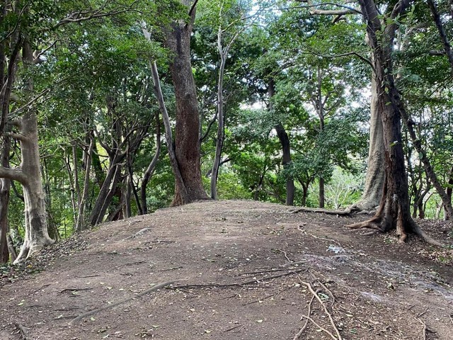 【名古屋市】古墳が語る、もう一つの名古屋。三英傑より前の歴史を歩く（土庄雄平「名古屋深掘りチャンネル」）