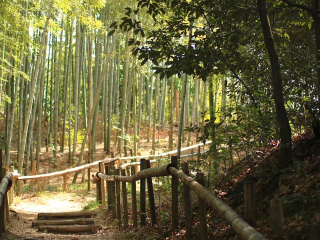 【名古屋市】名古屋にもあった"京都の原風景"。市民に愛される美しい「竹の小径」3選（土庄雄平「名古屋深掘りチャンネル」）