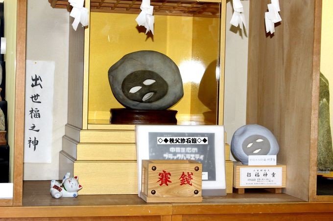 予想外！秩父のB級スポット「秩父珍石館」は全然B級じゃなかった
