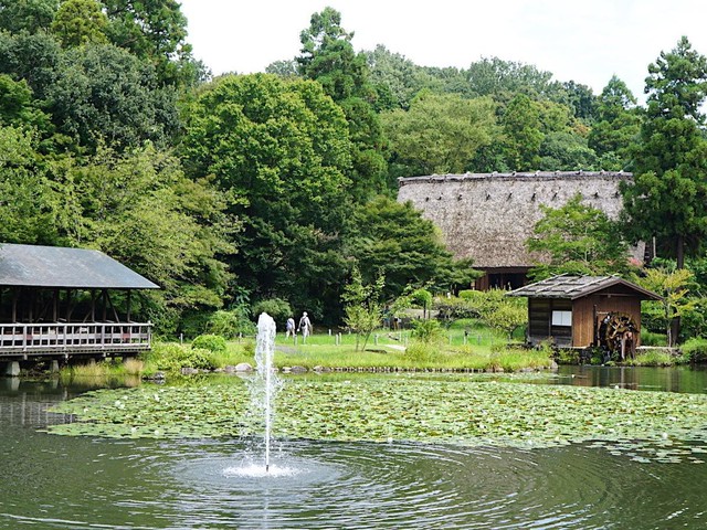 【名古屋市】美しい自然と歴史に触れる。名古屋で出会える「池の風景」3選（土庄雄平「名古屋深掘りチャンネル」）