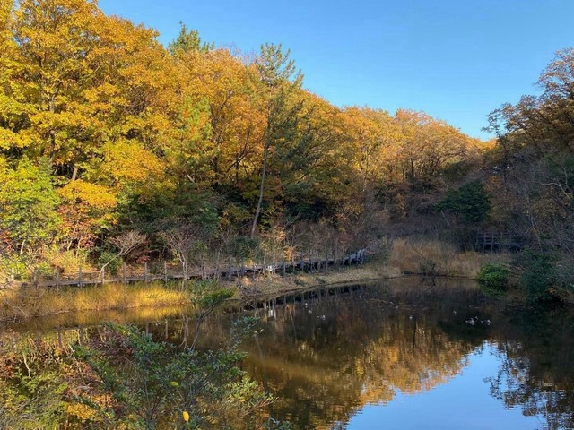 【名古屋市緑区・天白区】四季を通じて美しい。自然を満喫できる絶景の公園・ハイキングスポット5選（土庄雄平「名古屋深掘りチャンネル」）