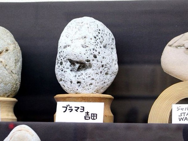 予想外！秩父のB級スポット「秩父珍石館」は全然B級じゃなかった