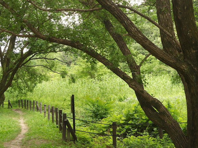 【名古屋市千種区】都会の中の秘境！？名古屋「東山の森」が自然共生サイトに｜おすすめ4スポット（土庄雄平「名古屋深掘りチャンネル」）