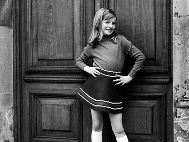 サー・アントニー・ヴァン・ダイク、スペンサー家の貴婦人、希少