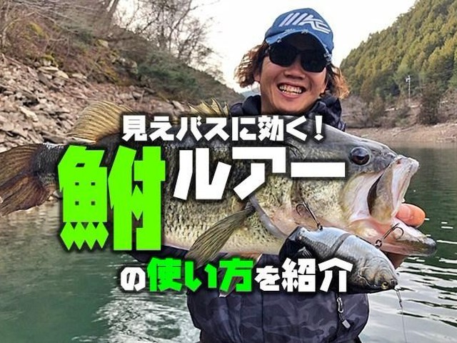 【春の見えデカバスに効果絶大】「鮒（フナ）」ルアーの使い方（ルアーニュースR）
