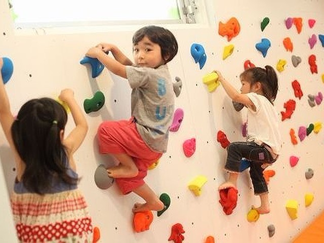 春夏新作モデル Miiさんオーダー うんてい 室内うんてい 室内遊具 ボルダリング その他