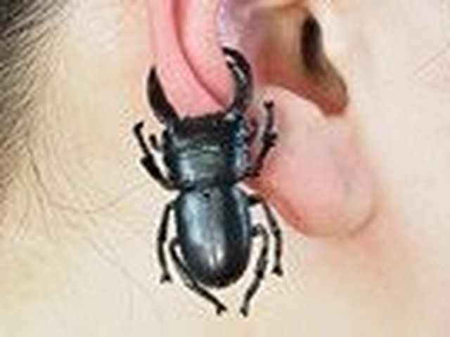 ヒラタクワガタ クワガタ ピアス 国産クワガタ 昆虫 昆虫アクセ