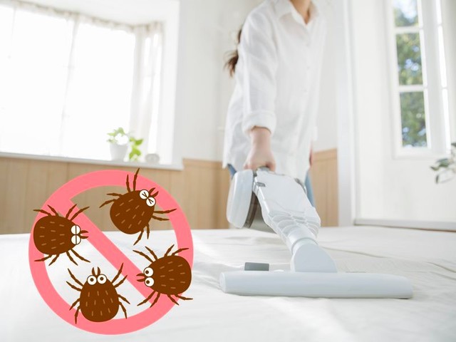 布団のダニ対策に掃除機の効果とは？　驚きの検証結果と正しい対策（ウェザーニュース）