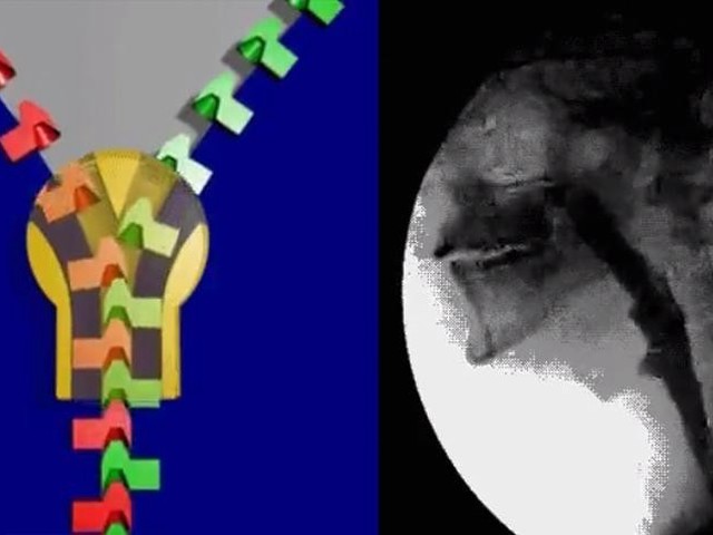 「これどうなってるの？」に答えてくれる10のGIF（BuzzFeed Japan）