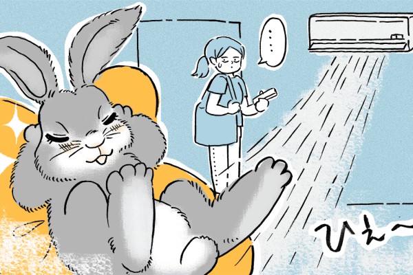 飼っている小動物のためにエアコンを24時間稼働させている。電気代が気になるけれど、みんなはどうしているの？（ママスタ）