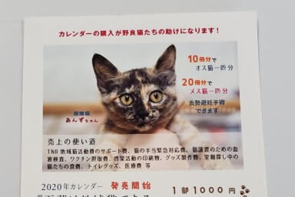 吾輩は地域猫である」２０２０年カレンダー発売開始【サ日記】（ファンファン福岡）