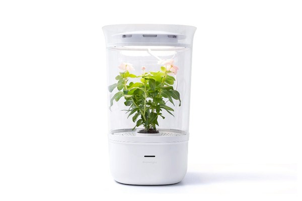 Bloom Engine スマートプランター本体 fc771745-3683-4c28-b4ee-