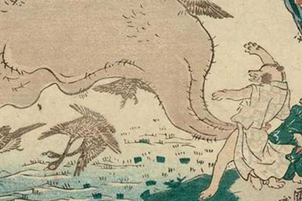 金の玉 通称金玉 タヌキの金玉はなぜ大きいの？誰がいつ最初に言ったんだ問題を解決