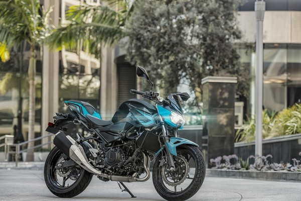 SNSで話題のマ◯タカラーもアリ！カワサキのスポーツネイキット