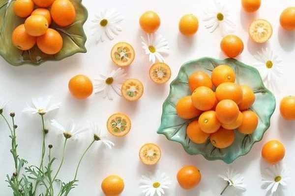 食べすぎると口がピリピリするのはなぜ？『きんかん』の栄養と注意点とは（オリーブオイルをひとまわしニュース）