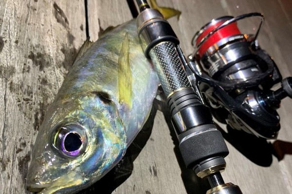 テイルウォーク スーパーアジスト TZ 47/TISL 【極美品】 テイルウォーク スーパーアジスト TZ 52/SSL (ロッド・釣竿) 価格比較