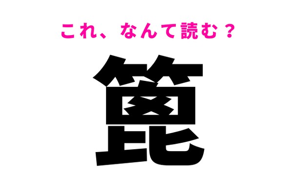 【篦】の読み方はなに？料理で使う道具の名前！（Ray web）