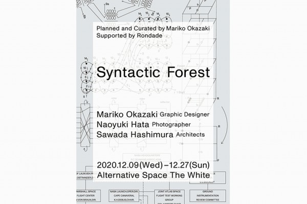 ロマンアルバム 機動戦士ガンダム SEED DESTINY「インパルス編