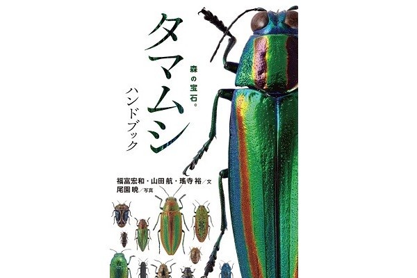 森の宝石”と称される美しい昆虫「日本産タマムシ」の識別図鑑が