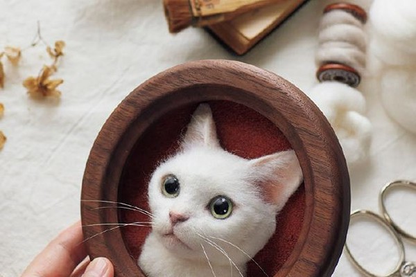 羊毛フェルトで「世界に一つだけ」の猫を手作りしませんか？（ダ