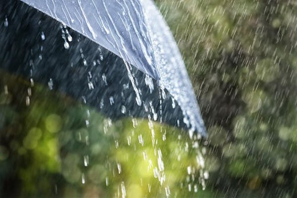 雨の種類は400種類以上？「雨」にまつわるさまざまな呼び名を紹介（オリーブオイルをひとまわしニュース）